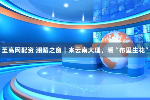 至高网配资 澜湄之窗｜来云南大理，看“布里生花”