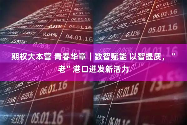 期权大本营 青春华章｜数智赋能&#32;以智提质，“老”港口迸发新活力